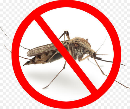 Pest Control Mosquito